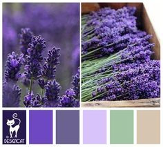 Локации и их цветовые гармонии. Степанова Анна.Детский и семейный фотограф Крым