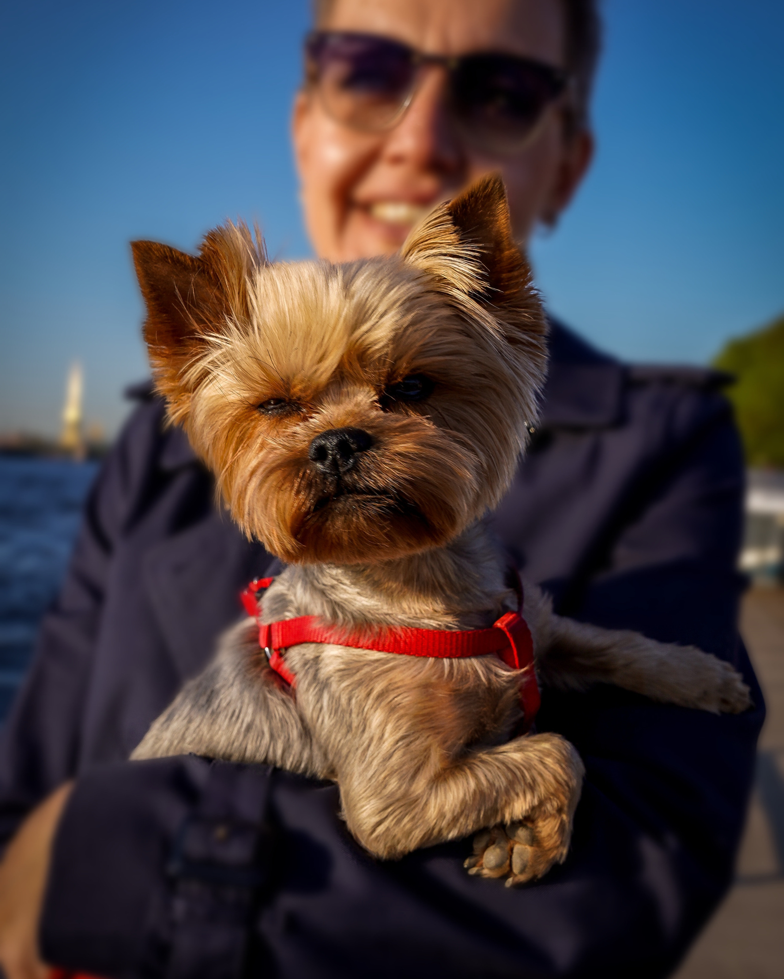 Фотосессия с питомцем