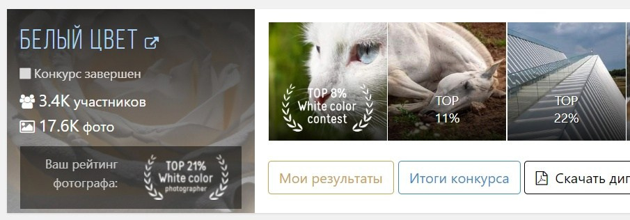 Фотограф-анималист Марина Виноградова