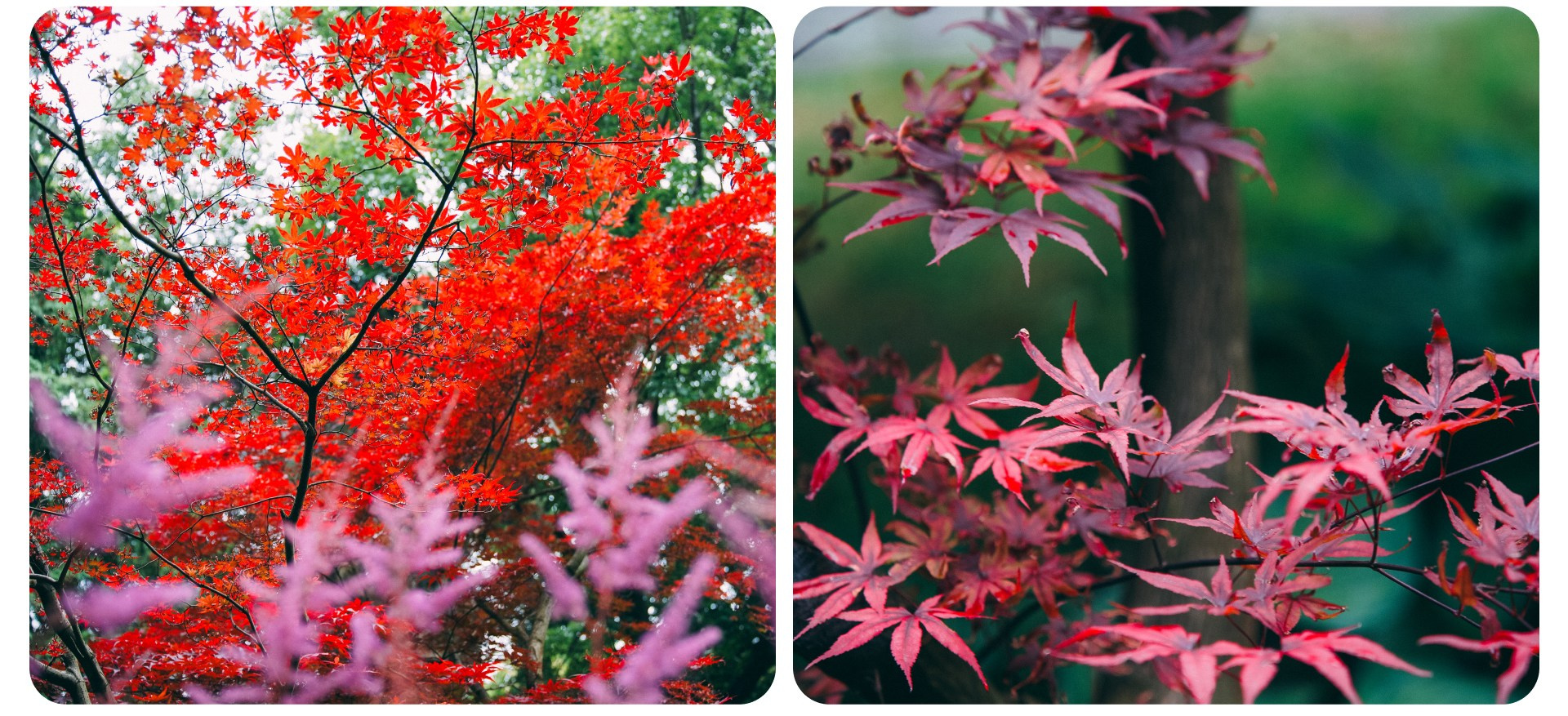 Калининград 3. Фотограф из Москвы — DASHA NOVA | Авторская фотография в разных жанрах