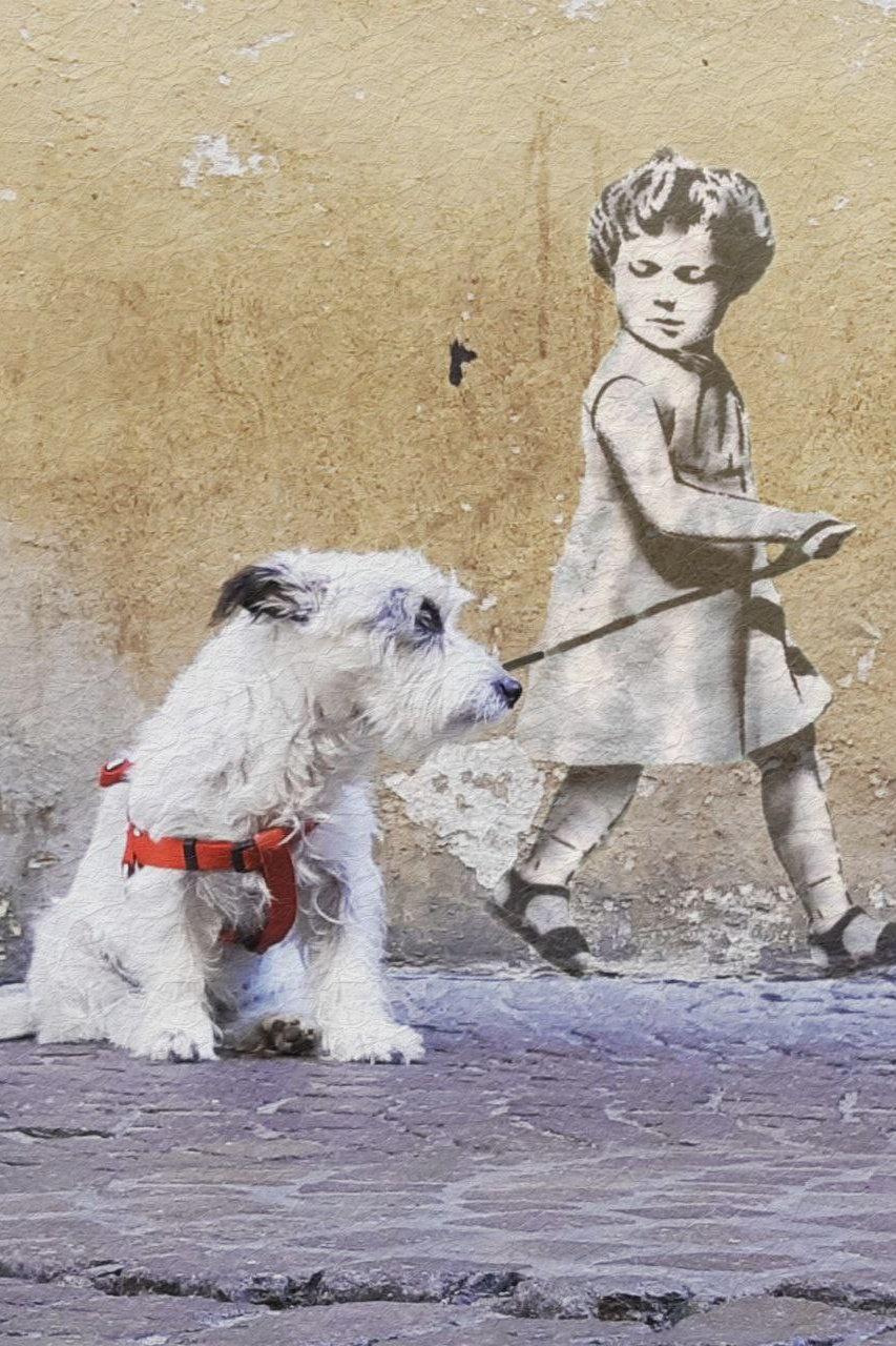 Фотограф Иван Антонов