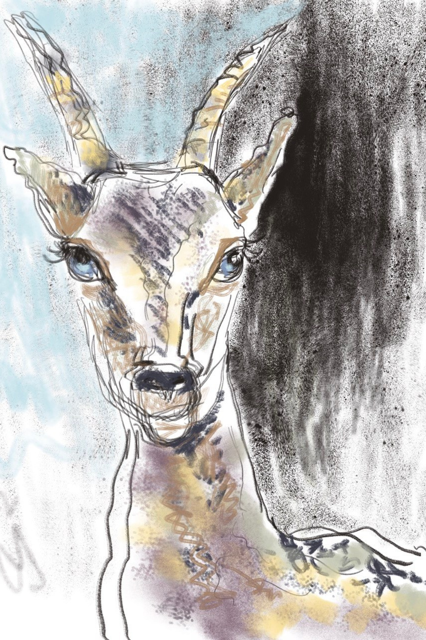 Digital Illustration. Y2_ART