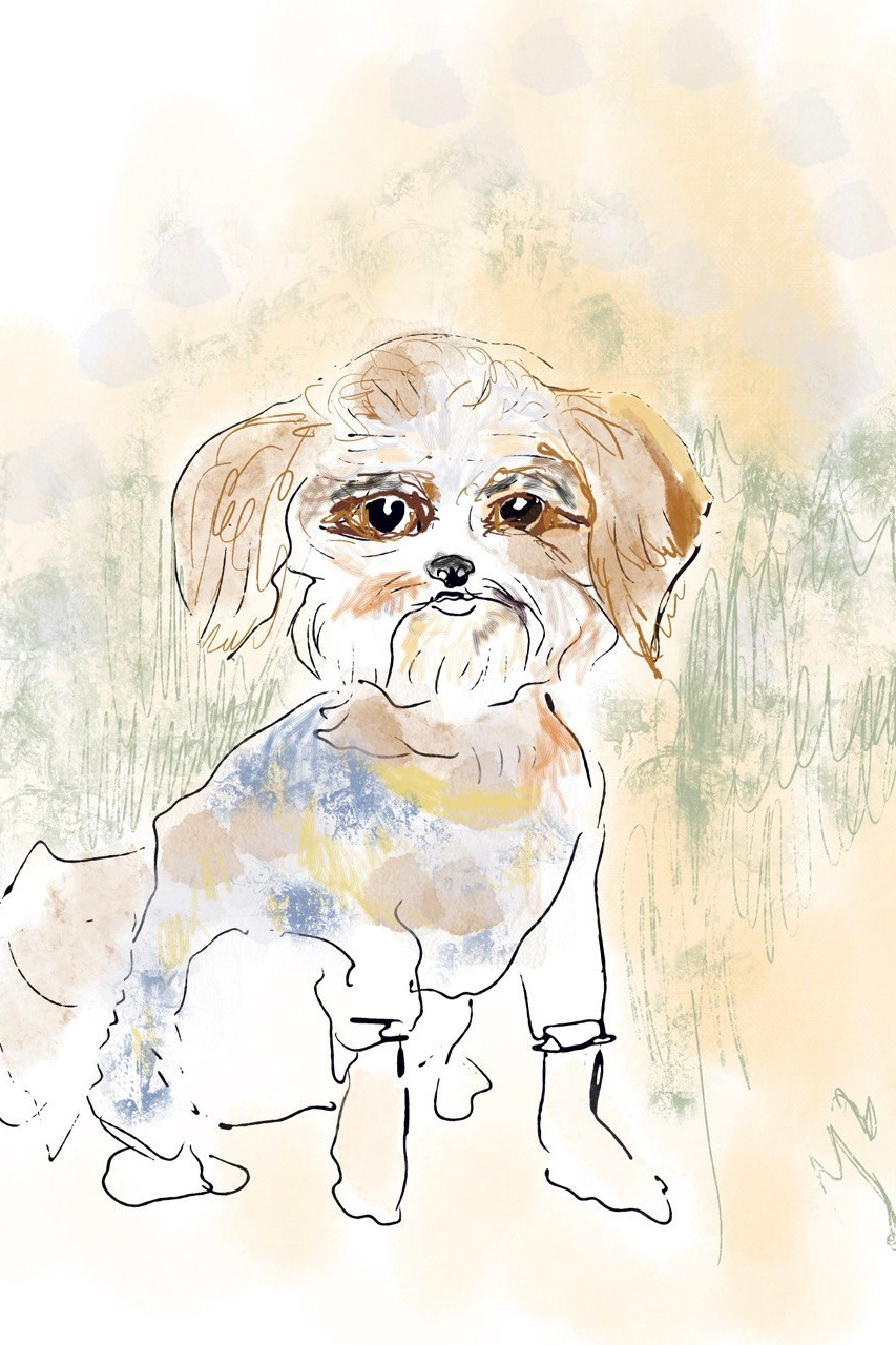 Digital Illustration. Y2_ART