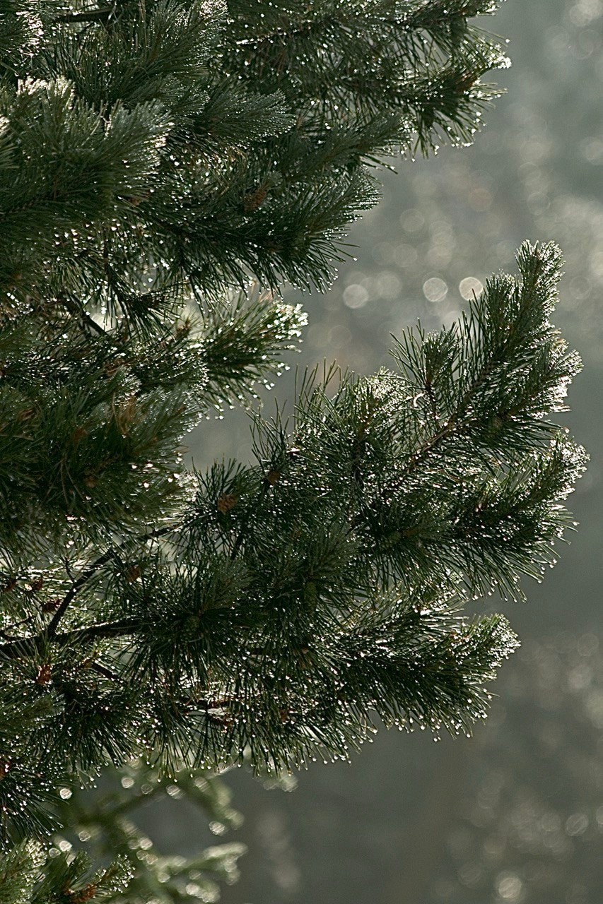 Фотографирую мир