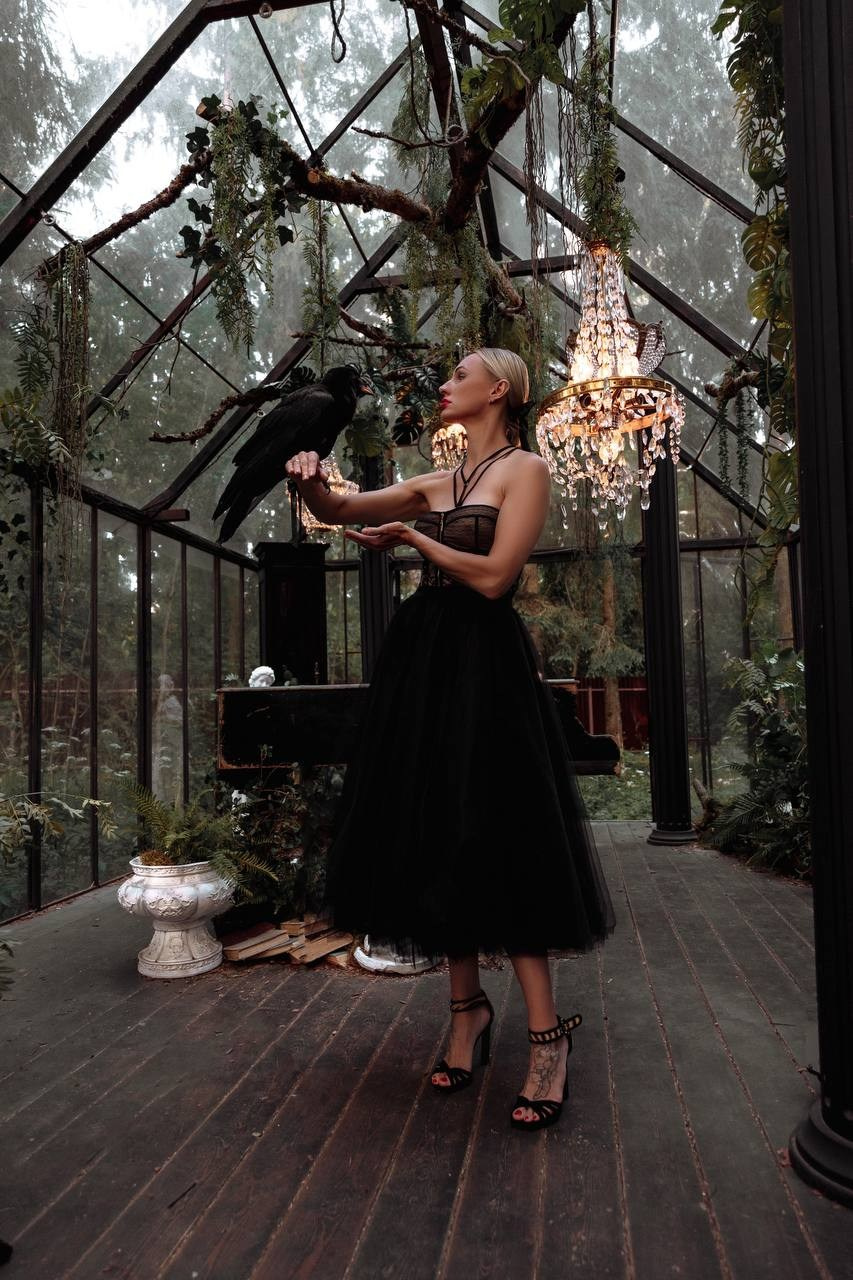 Фото и видеосъемка с черным вороном в Москве