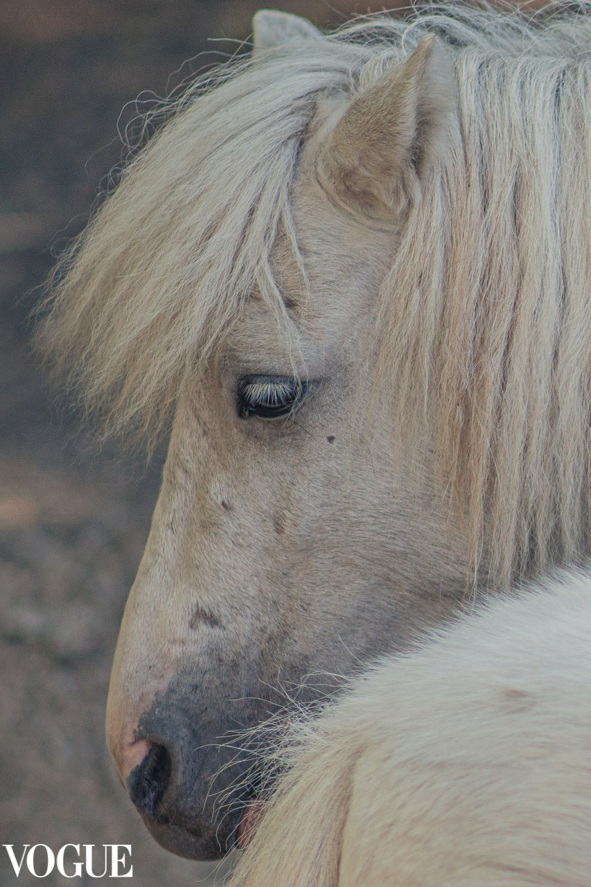 Публикации. Фотограф Наталия Шляпина в Ростове-на-Дону