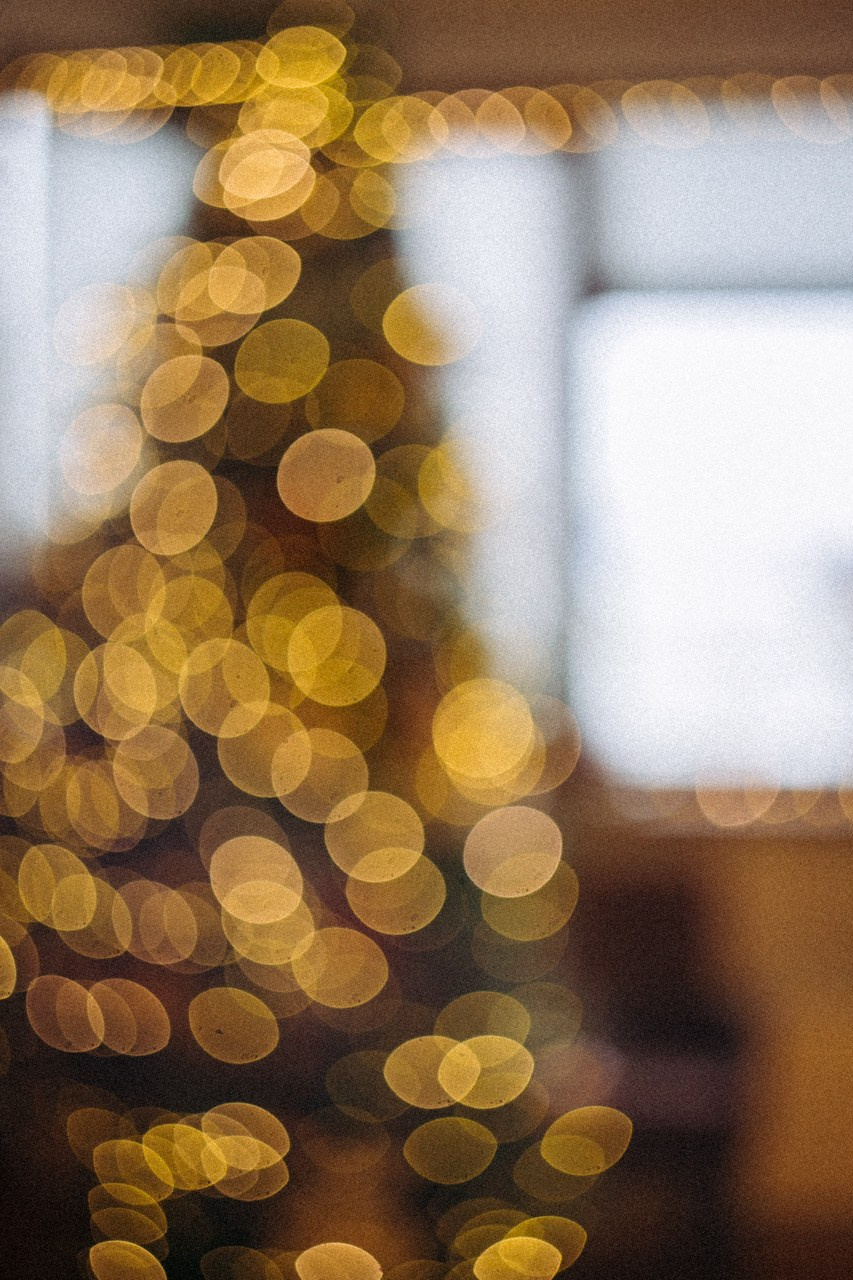 С Новым Годом и Рождеством Христовым!. Семейный и контент фотограф в Москве Вероника Швец