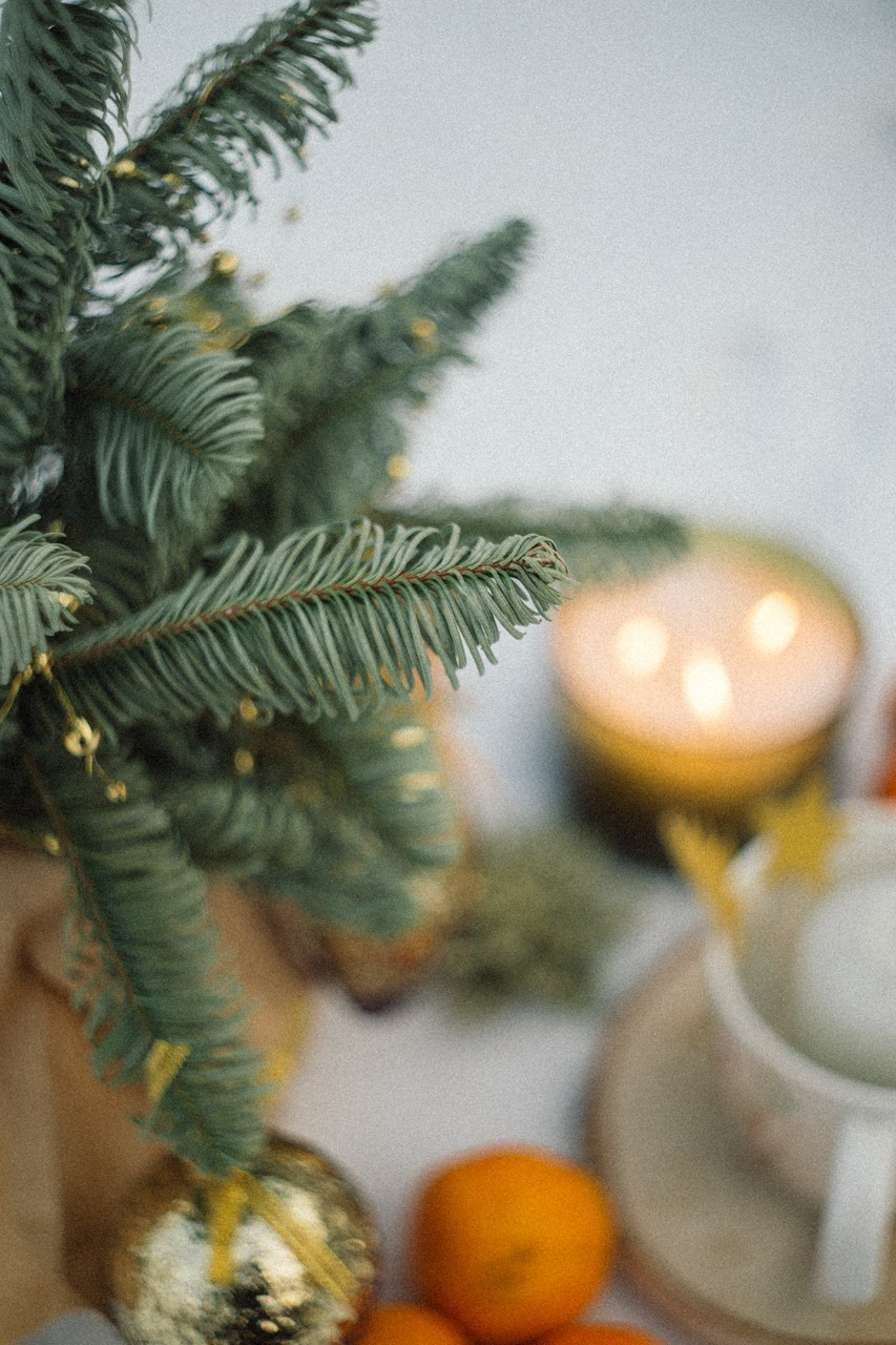 С Новым Годом и Рождеством Христовым!. Семейный и контент фотограф в Москве Вероника Швец