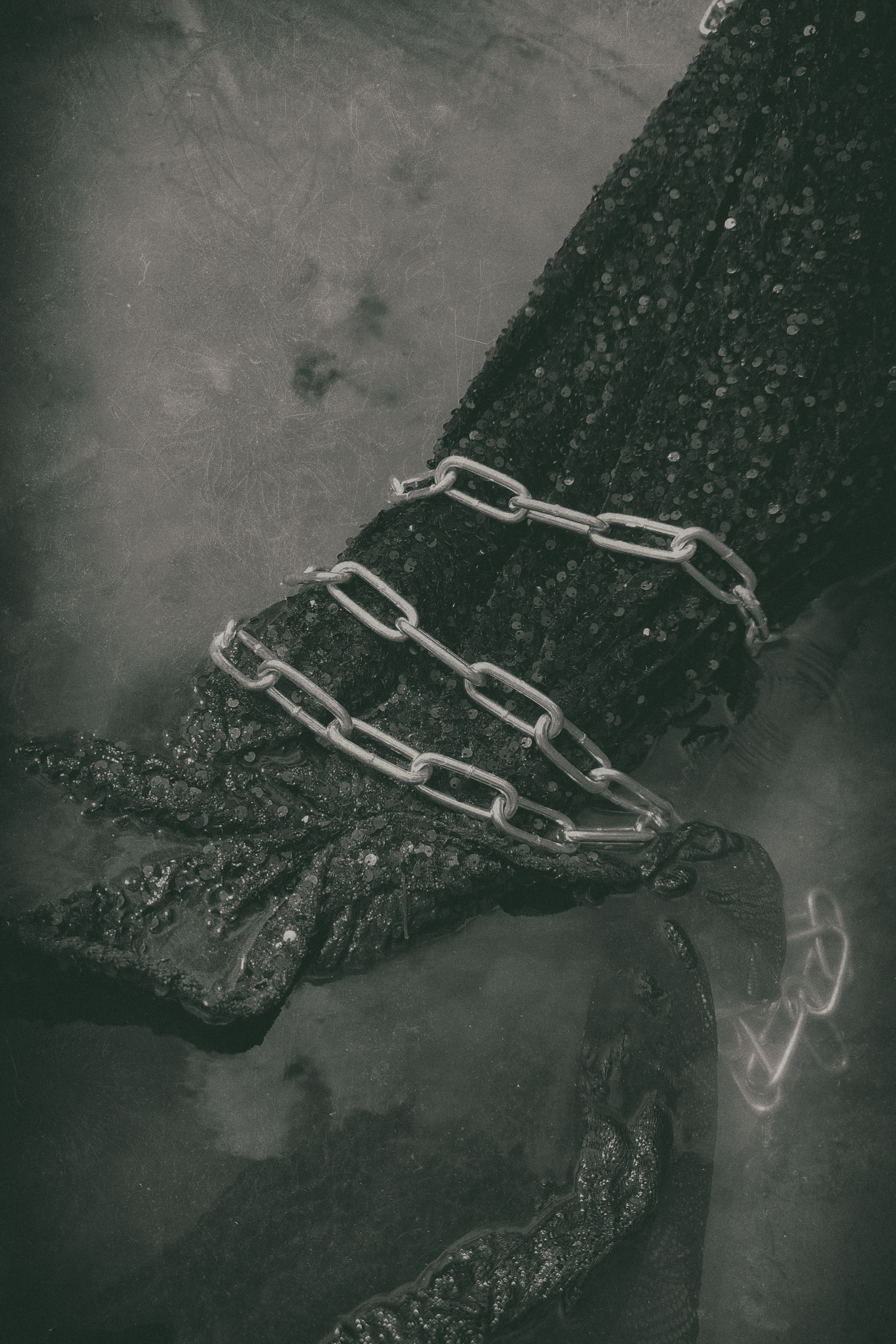 THE CAPTIVE SIREN. Yulia Yurchevskaya | Art Director & Visual Visionary