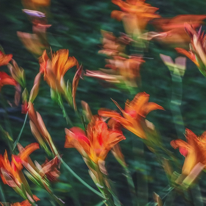 «Макадамия» & Студия Дизайна и Декора Паулины Богомоловой. Home Decor