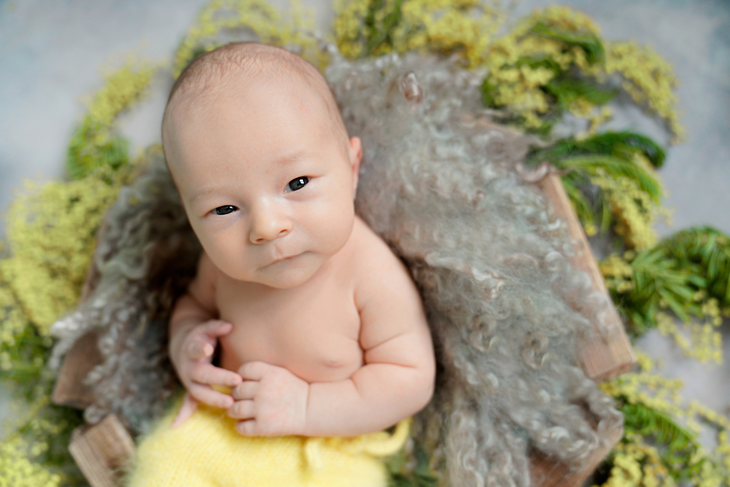 Услуги. Фотограф новорожденных Наталья Курышова Москва Одинцово