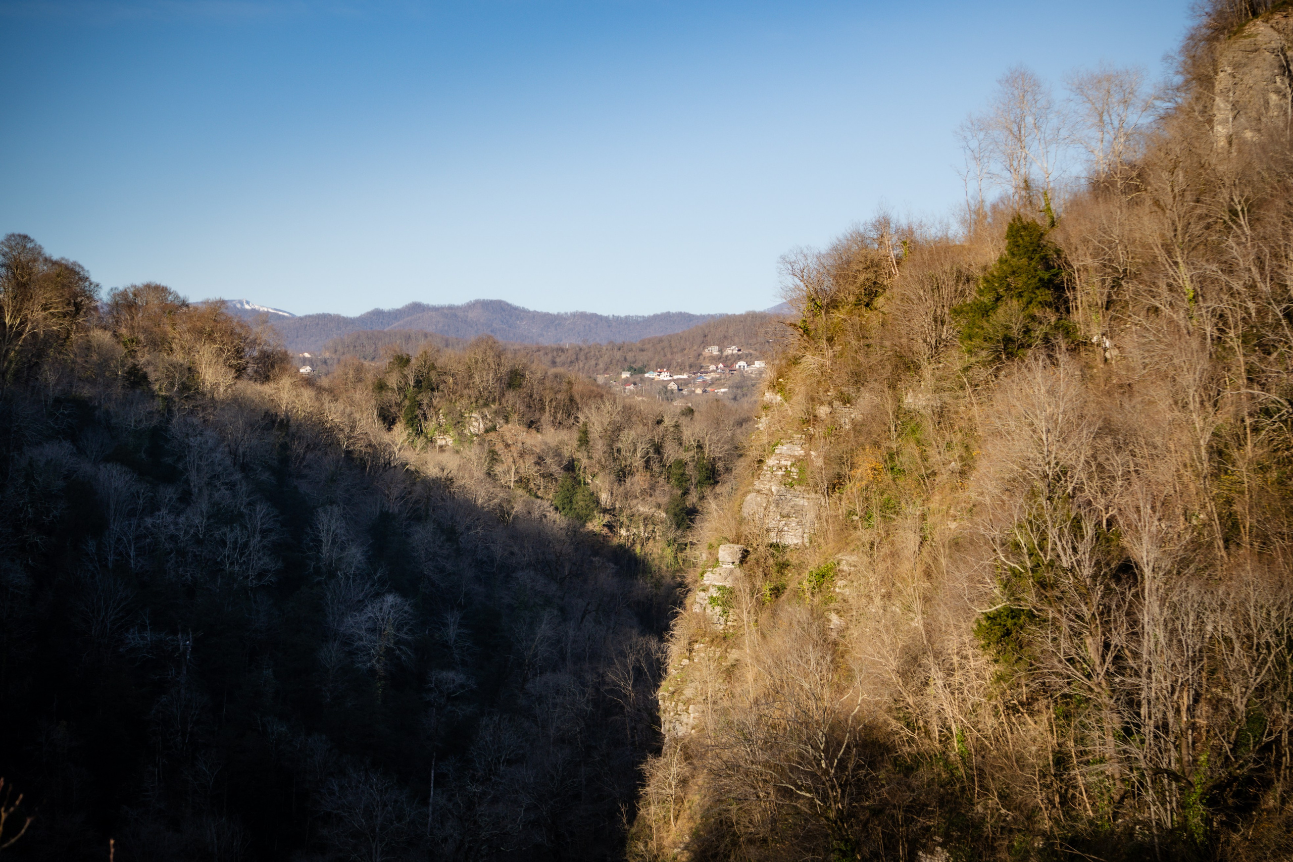 Тисо-самшитовая роща. Yaratezza production