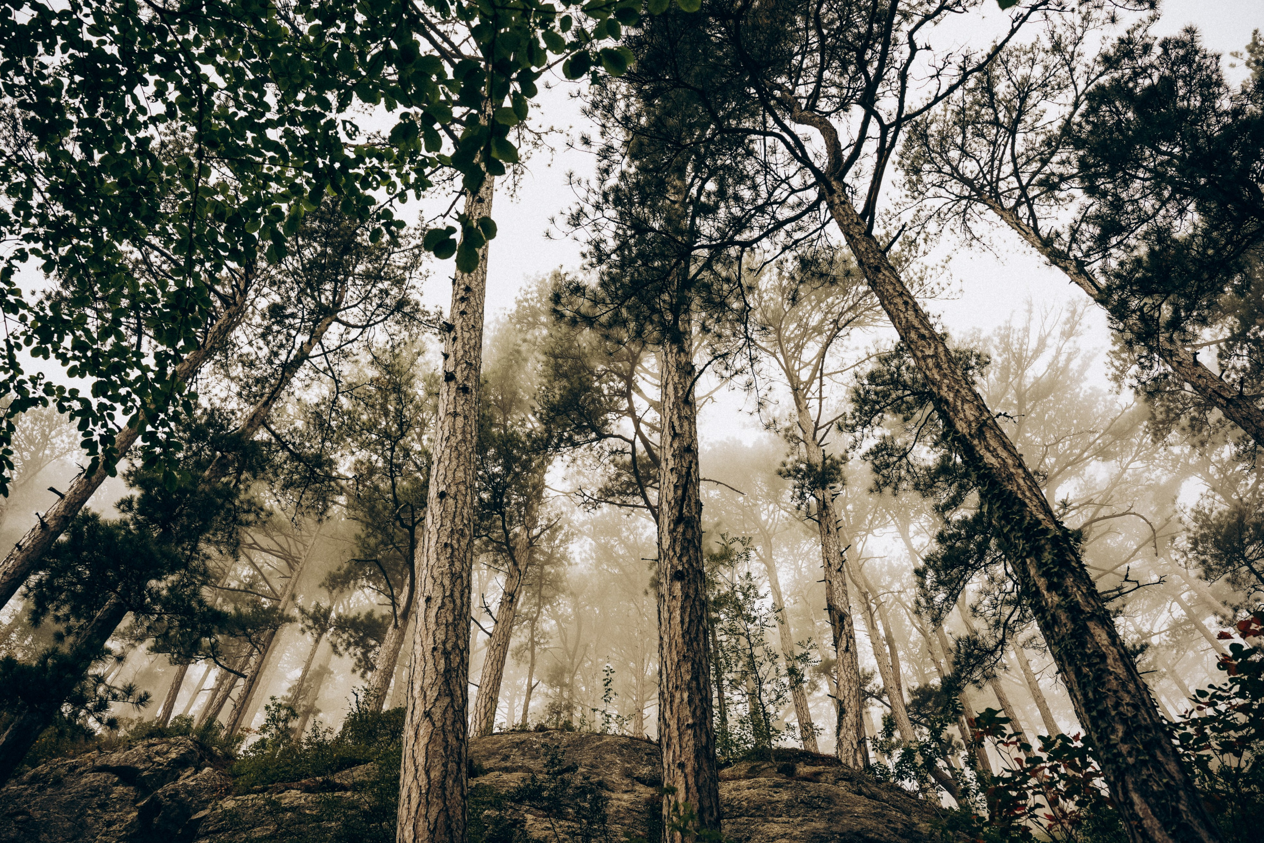 Боткинская тропа. Фотограф из Москвы — DASHA NOVA | Авторская фотография в разных жанрах