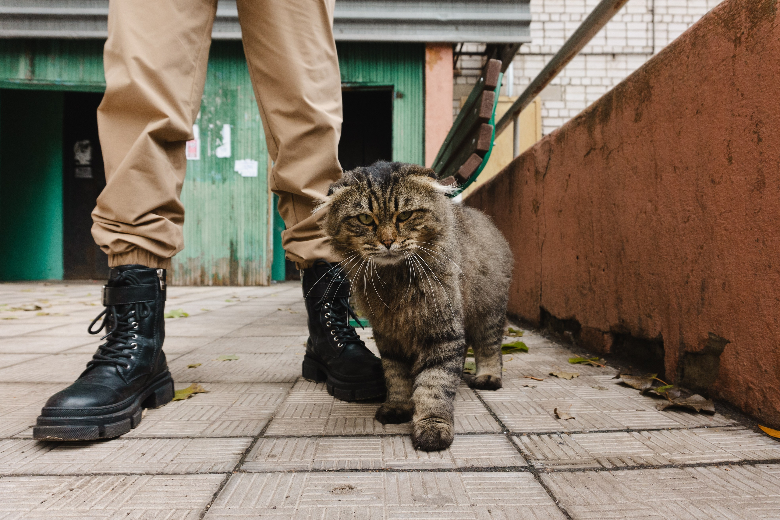 Проекты. Фотограф Кузнецов Егор Липецк