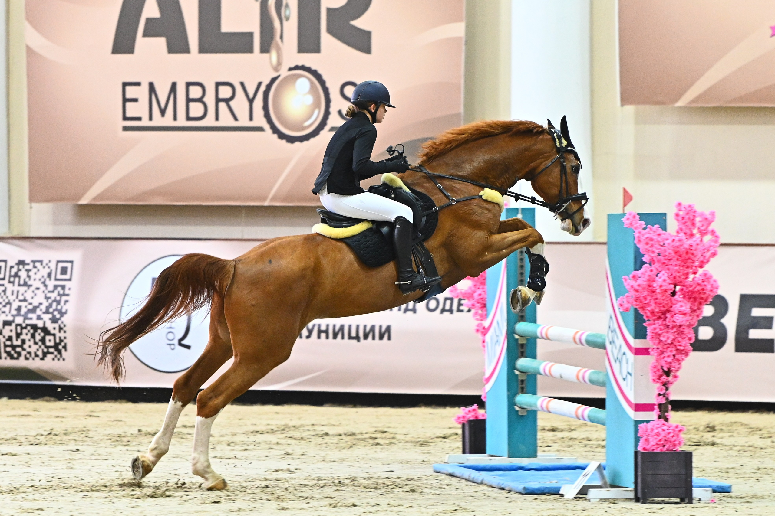 Кубок Московской области по конкуру. ТУРНИРНАЯ КОННАЯ ФОТОГРАФИЯ, Руднева Ольга и Евгений Адеев
