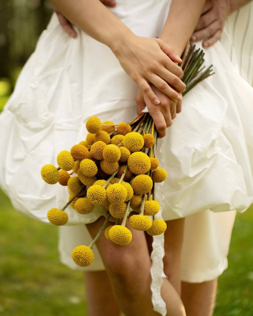 Zaytseva.weddings