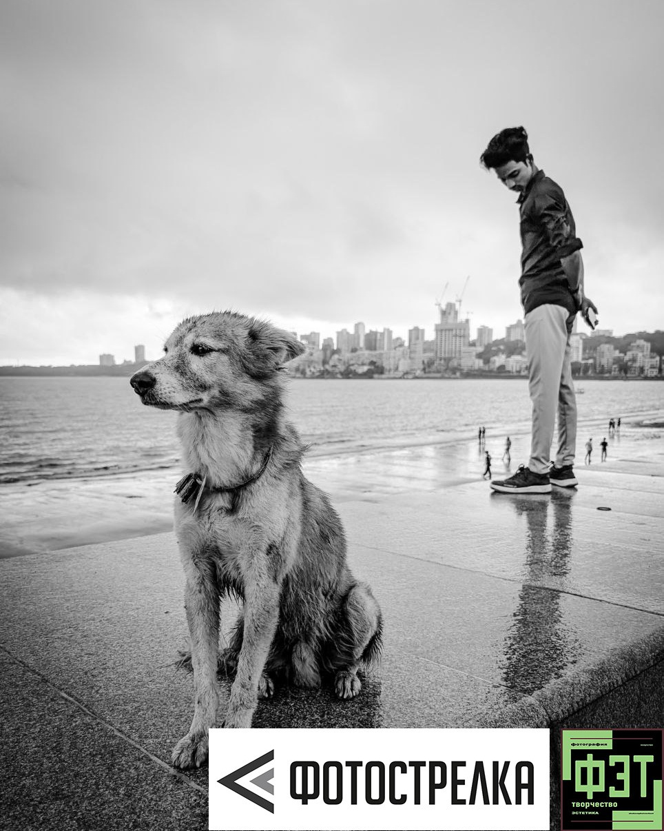 Альбом 22.03.26 в рамках ФЭТ