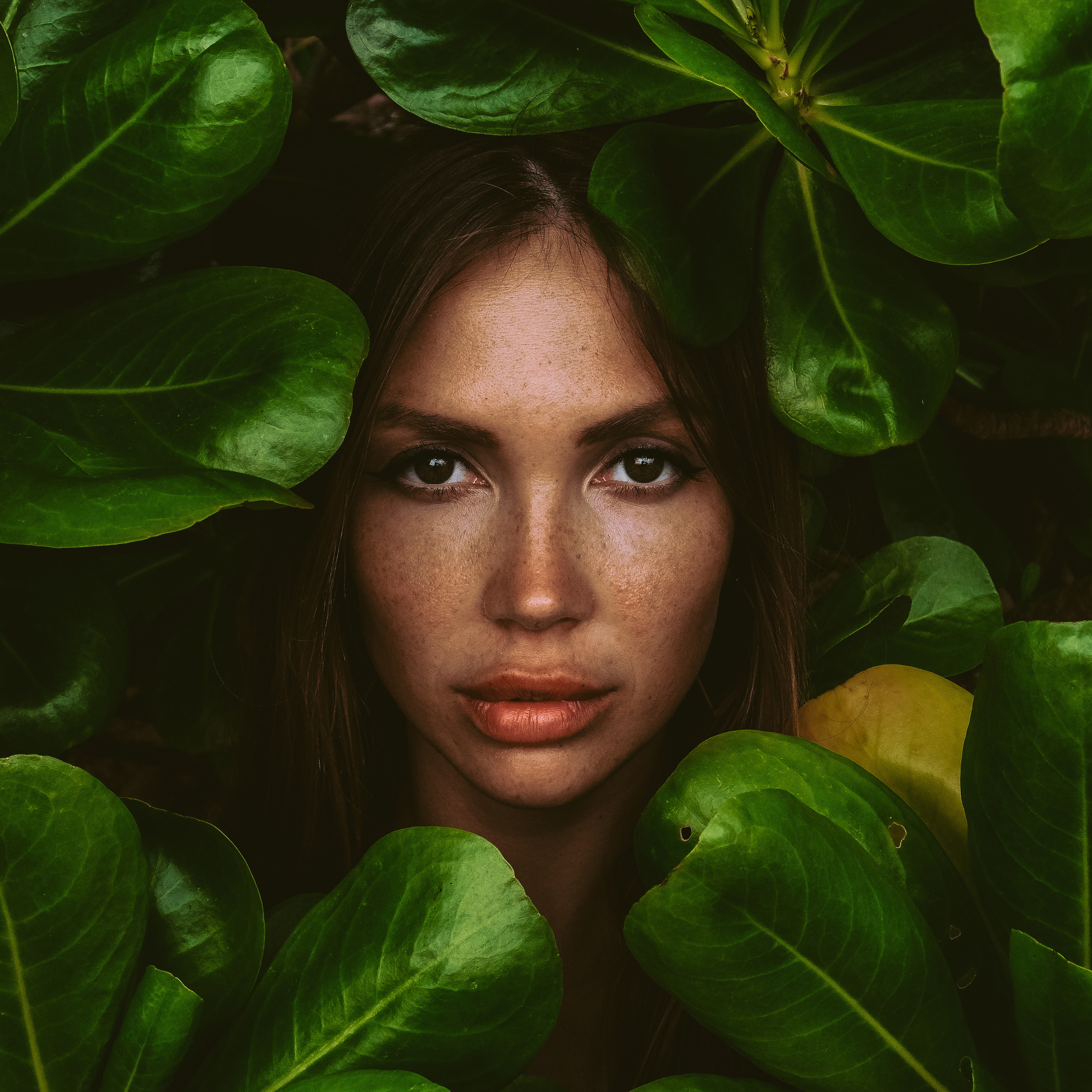 Photographer PHUKET | Creative Photographer