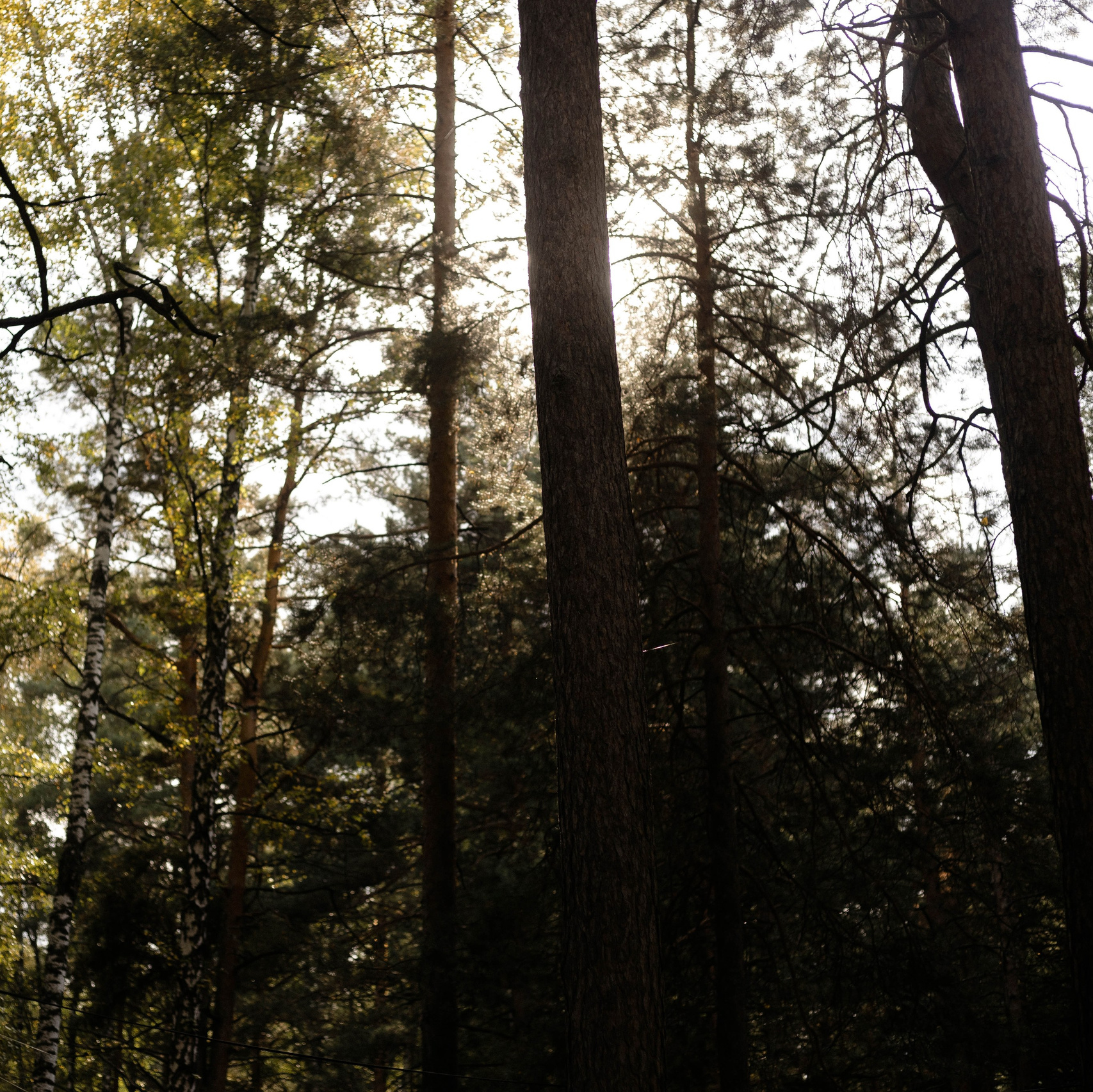 Свадебный фотограф видеограф Новосибирск Кемерово Калининград