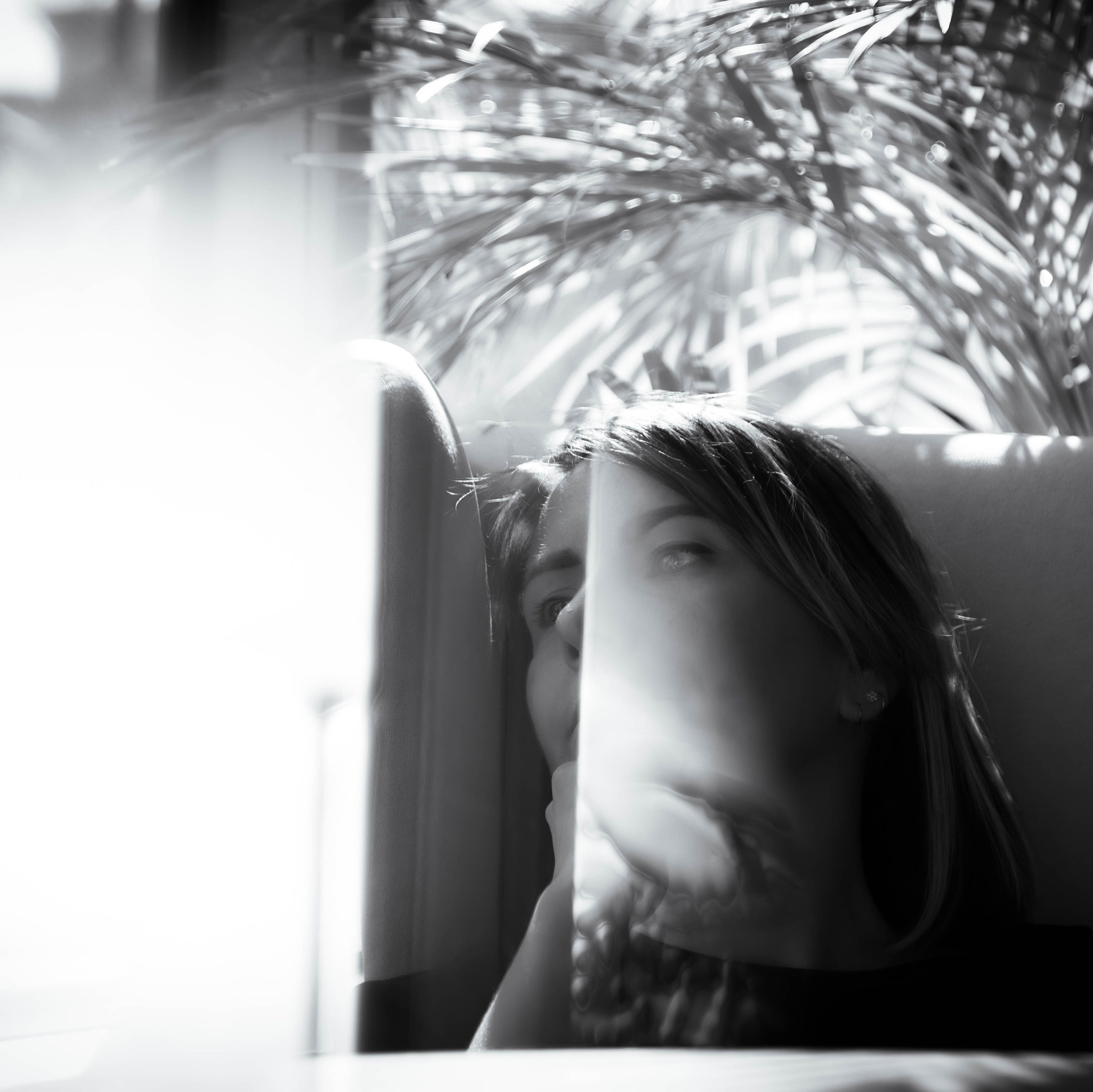 Фотограф Тула. Фотограф анималист — Тула, Москва