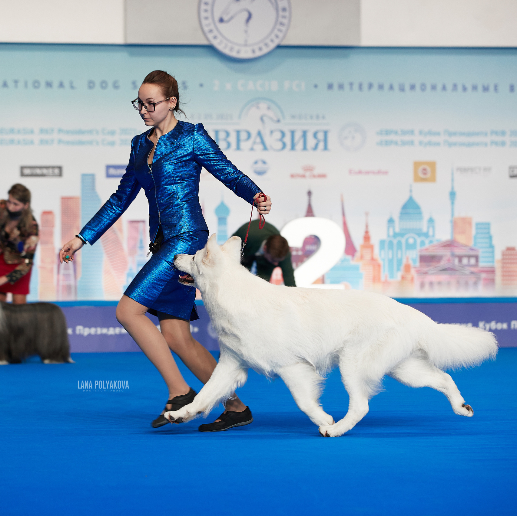 ФОТО ВЫСТАВКИ. ФОТОГРАФ-АНИМАЛИСТ l LANA POLYAKOVA