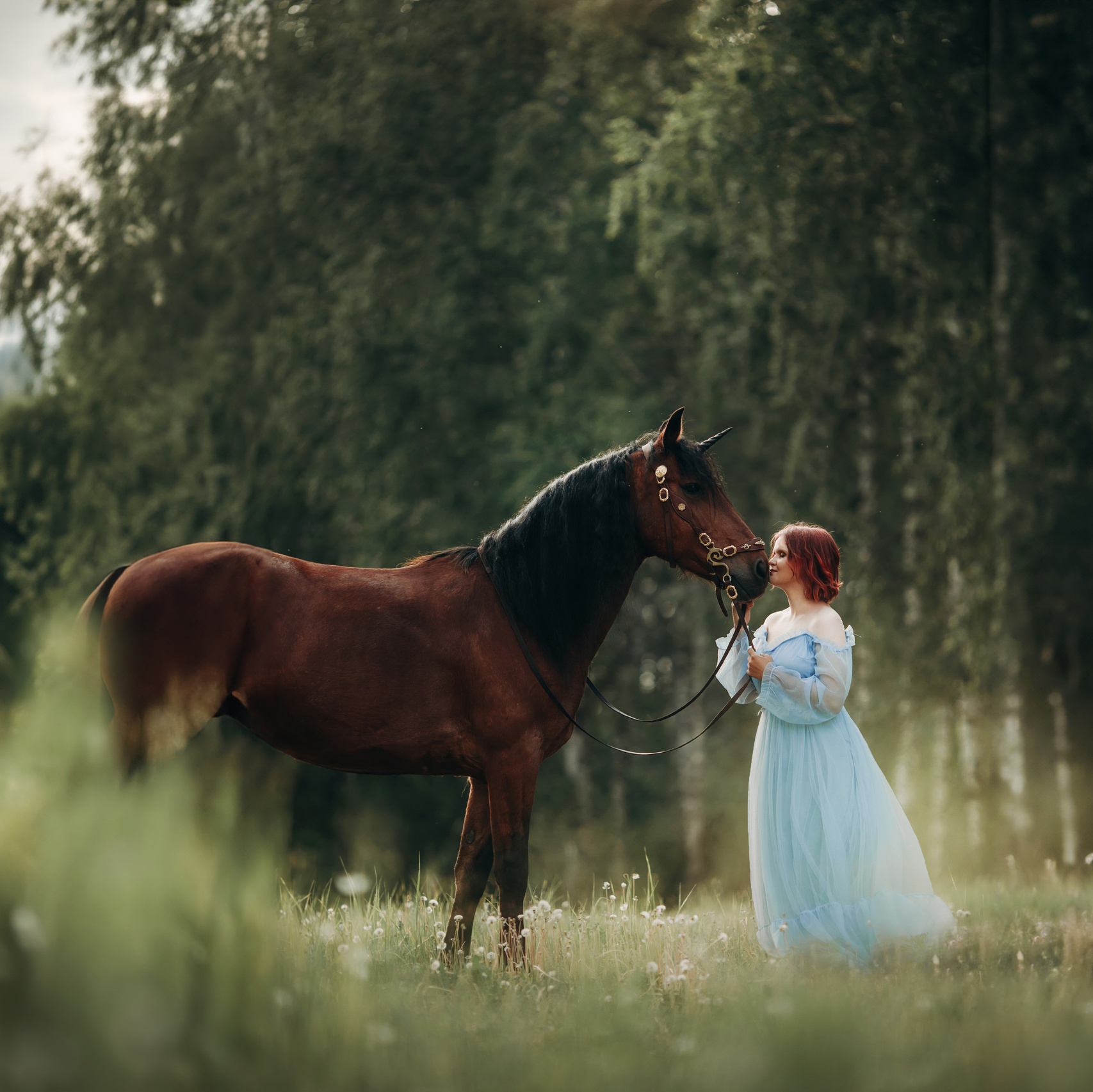 Фотосессия с лошадью тюмень, фотосъемка с лошадью тюмень, конные прогулки тюмень