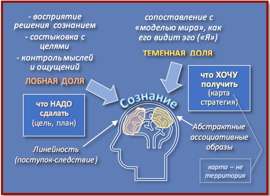 Сознание: изменённое состояние и контролируемая галлюцинация. Гид и фотограф в Валенсии Новиков Михаил