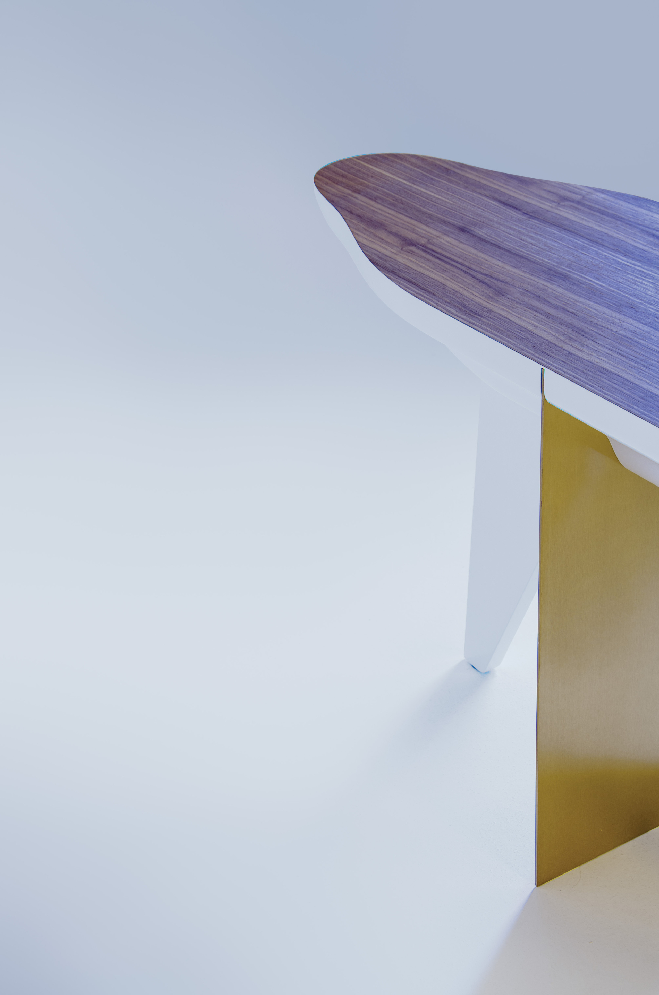 Noah. Elizarova Design Studio