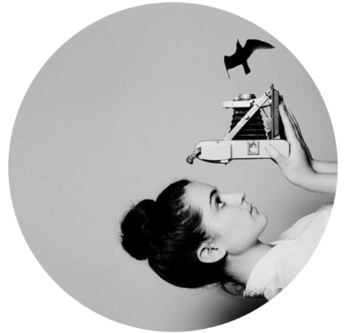 ОНЛАЙН КУРС ПО СЪЕМКЕ ВИДЕО. АНАСТАСИЯ ГУРЕЕВА @gureeva.provideo