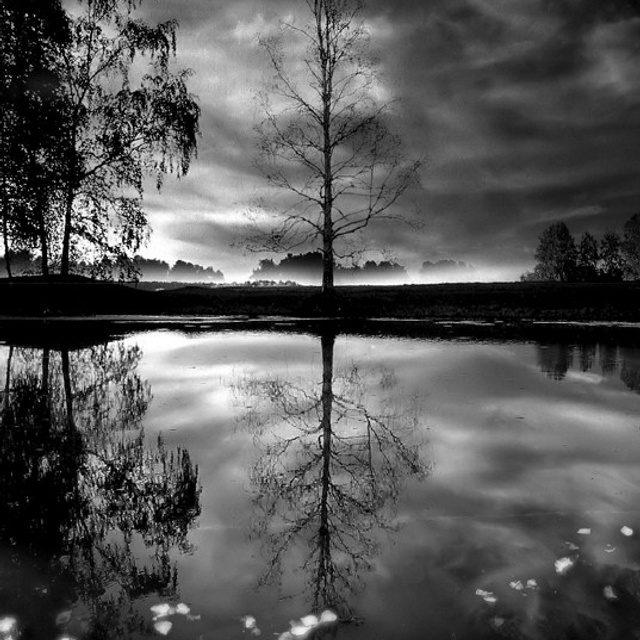 BW. 2003-2025. Евгений Курсков