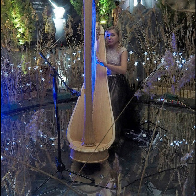 САД СНОВИДЕНИЙ - Люминография - luminografia.ru