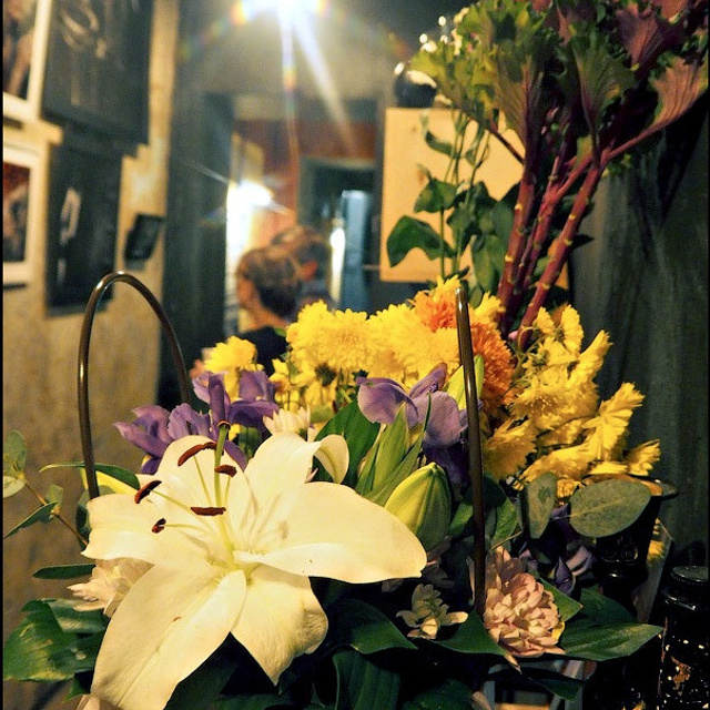 Анна Гофман - Люминография - luminografia.ru