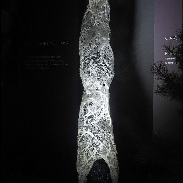 САД СНОВИДЕНИЙ - Люминография - luminografia.ru