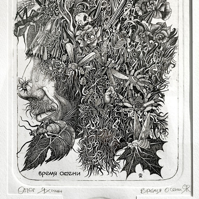 Академия БЕССМЕРТНЫХ «13»