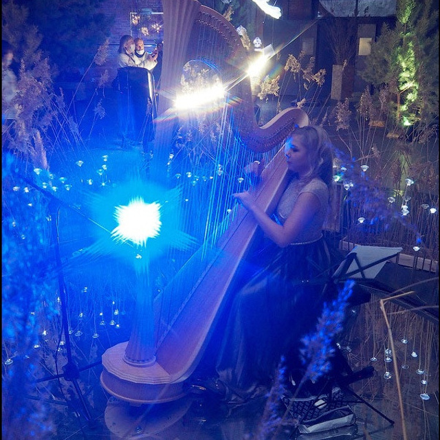 САД СНОВИДЕНИЙ - Люминография - luminografia.ru