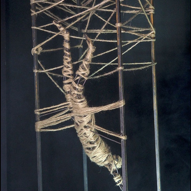 САД СНОВИДЕНИЙ - Люминография - luminografia.ru