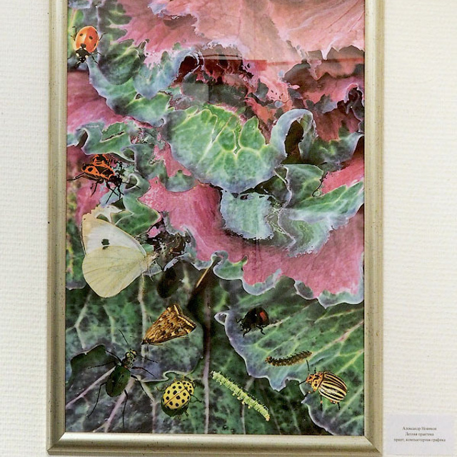 IFA «Летняя практика» - Люминография - luminografia.ru