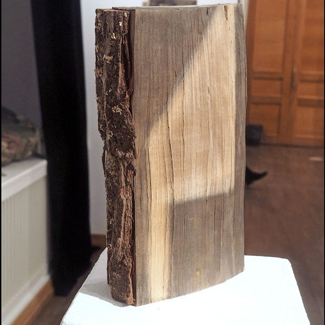 Александр Некрасов. - Люминография - luminografia.ru