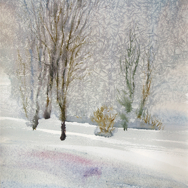 СВЕТЛАЯ СТОРОНА ЗЕМЛИ