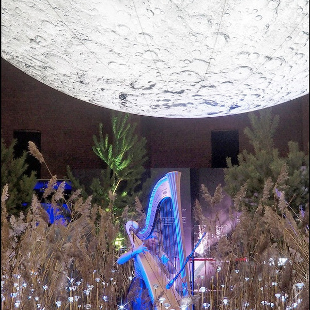 САД СНОВИДЕНИЙ - Люминография - luminografia.ru