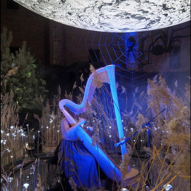 САД СНОВИДЕНИЙ - Люминография - luminografia.ru