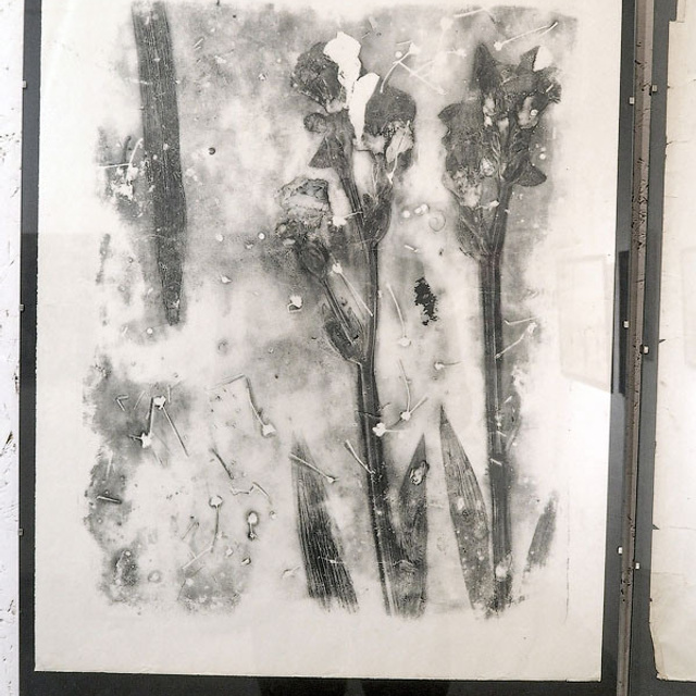 IFA «Летняя практика» - Люминография - luminografia.ru