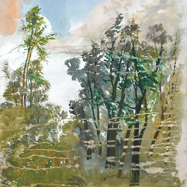 СВЕТЛАЯ СТОРОНА ЗЕМЛИ