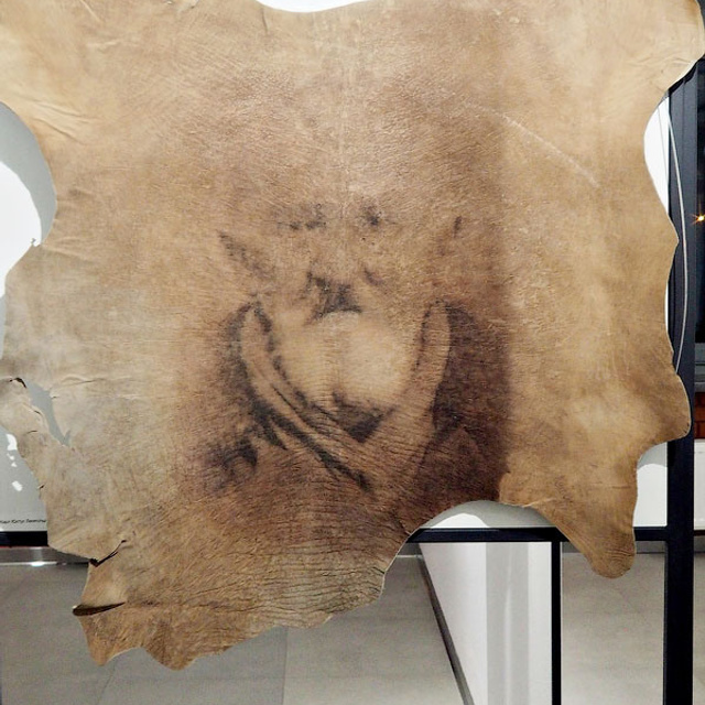 Инна Гринчель - Люминография - luminografia.ru