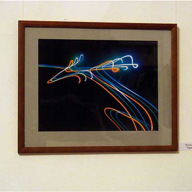 СВЕТОВИДЕНИЕ '09 - Люминография - luminografia.ru