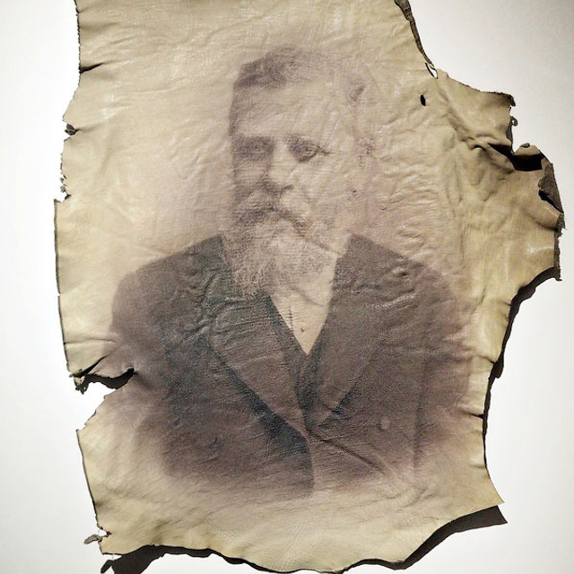 Инна Гринчель - Люминография - luminografia.ru