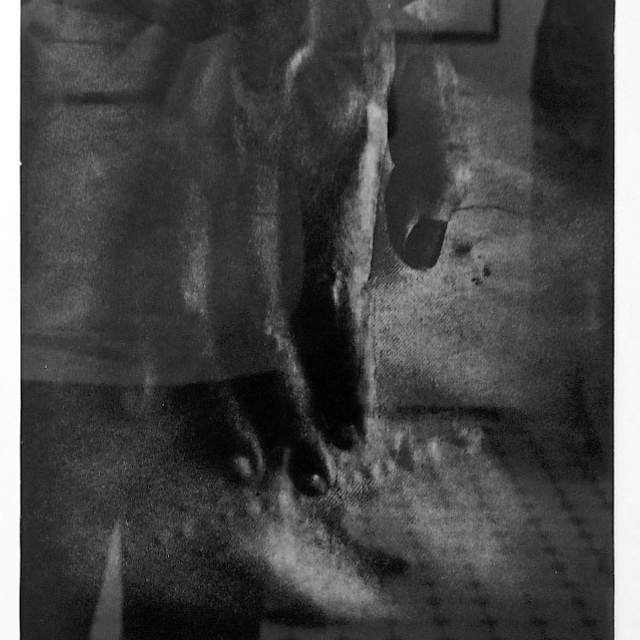 Елена Коваль - Люминография - luminografia.ru