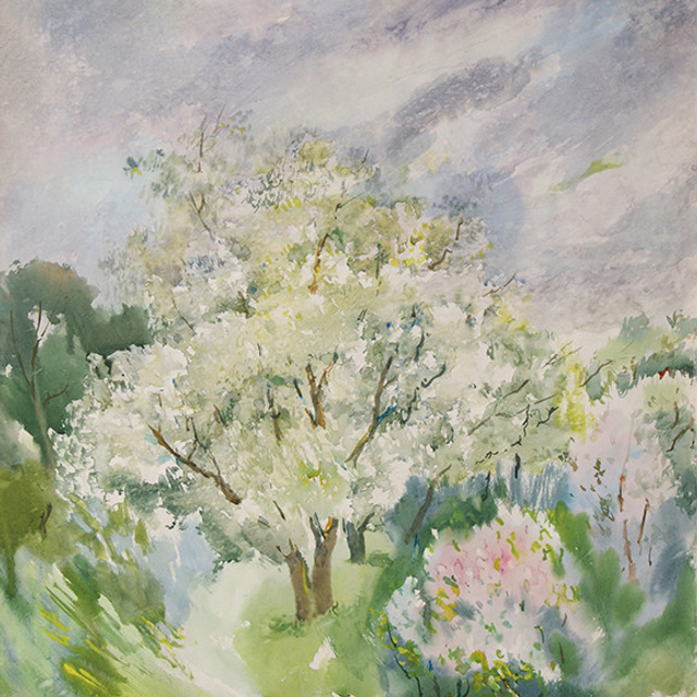 СВЕТЛАЯ СТОРОНА ЗЕМЛИ