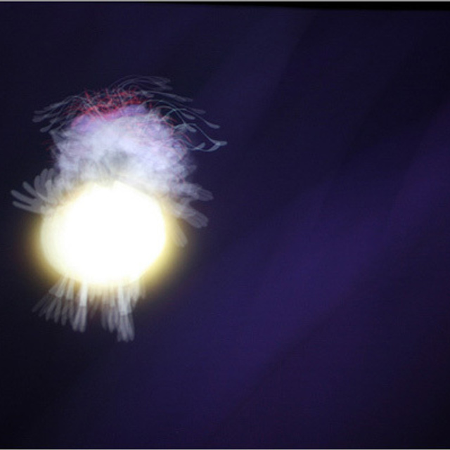 Люсинэ Брайтшайдель художник фотограф люминограф