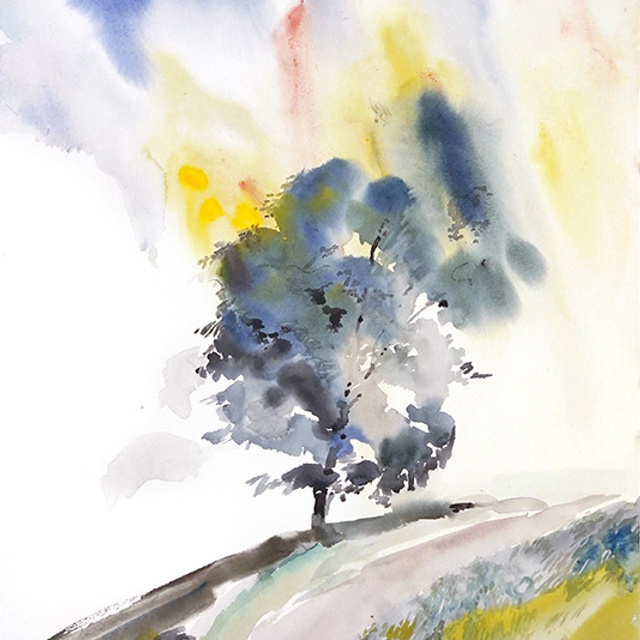 СВЕТЛАЯ СТОРОНА ЗЕМЛИ